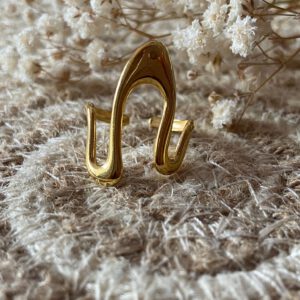 Anillo Rocío