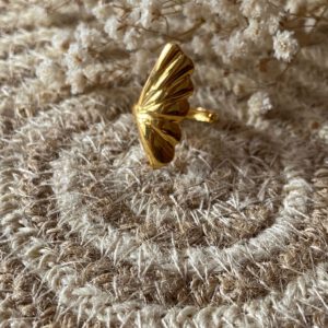 Anillo Lucía